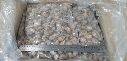ỐC Bulot - Thực Phẩm Đông Lạnh Kỳ Phong Agro Seafood - Công Ty TNHH Kỳ Phong Agro Seafood